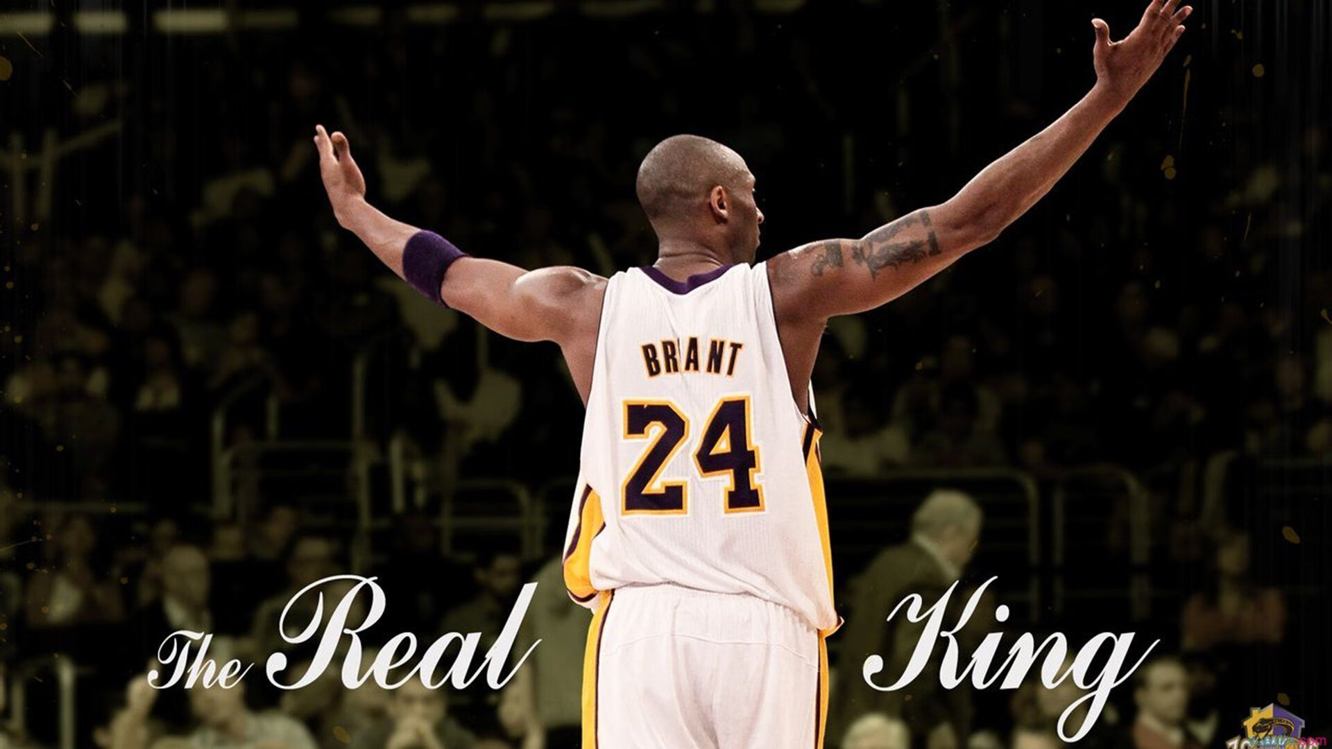 硬仗之王西亚卡姆的启示,浙江队如何用防守锁死吉林队